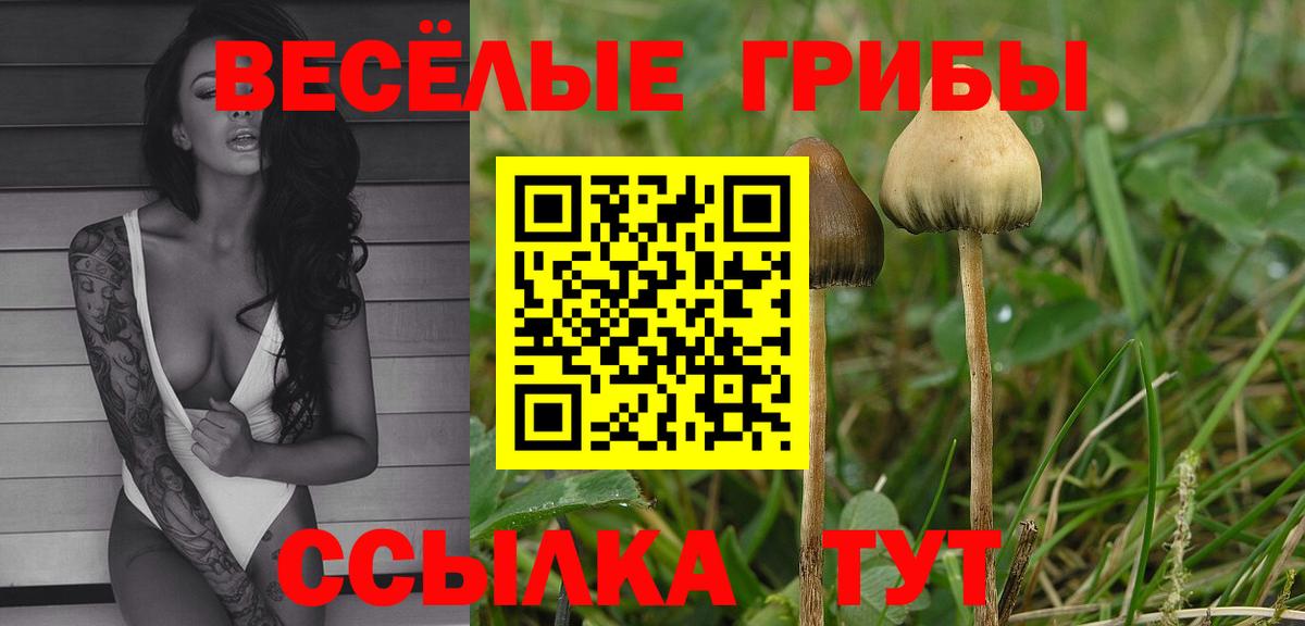 Галлюциногенные грибы GOLDEN TEACHER  Вход с VPN  Псилоцибиновые грибы MAGIC MUSHROOMS  Дедовск 